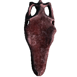 Raptor Skull