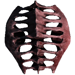 Raptor Ribcage