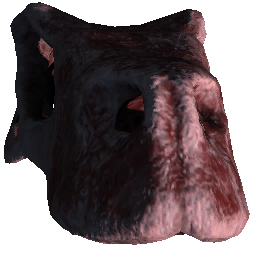 Raptor Skull 2
