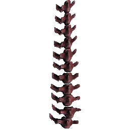 Raptor Spine
