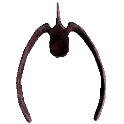 Rex Vertebrae