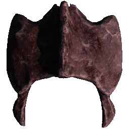 Rex Hip