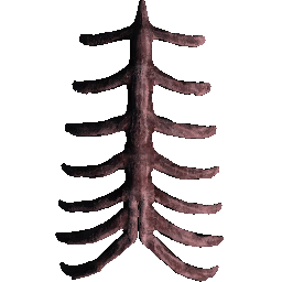 Rex Ribcage