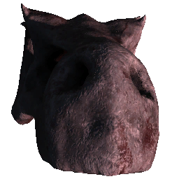 Rex Skull 2
