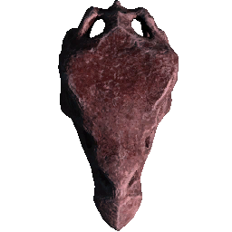 Stego Skull