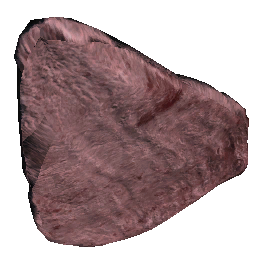 Stego Plate 3