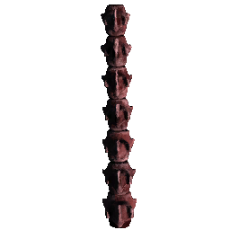 Stego Spine