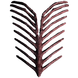 Trike Ribcage