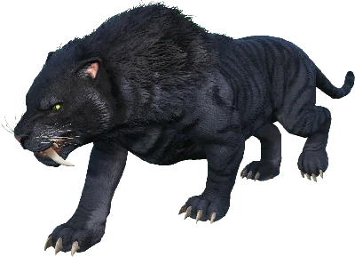 Sabertooth