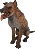 Hyaenodon