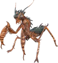 Mantis